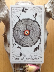 Ace of Pentacles Wild Unknown