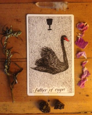 Father of Cups