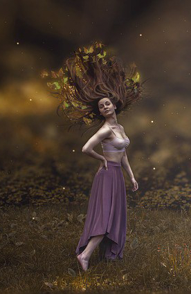 Photo by Allinoch / Pixabay